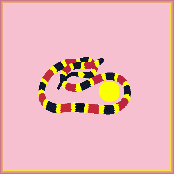 coral snake with pink frame by Andrew Rosinski